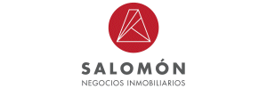 SALOMON NEGOCIOS INMOBILIARIOS