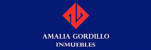  AMALIA GORDILLO INMUEBLES
