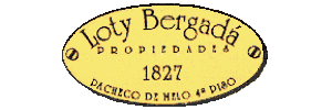  LOTY BERGADA PROPIEDADES